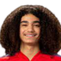 https://img.ytzysm.com/img/football/player/87359ed9061cfd73513d827263deebcd.png